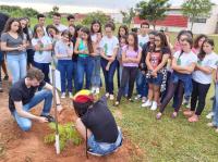 Imagem10.jpg Imagem10.jpg