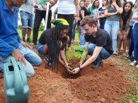 Imagem8.jpg Imagem8.jpg