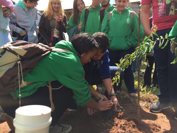 imagem sem descrição.