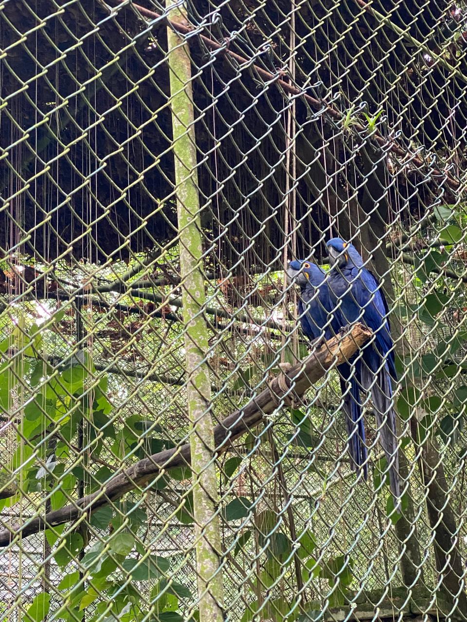 WhatsApp Image 2026 02 26 at 16.29.45