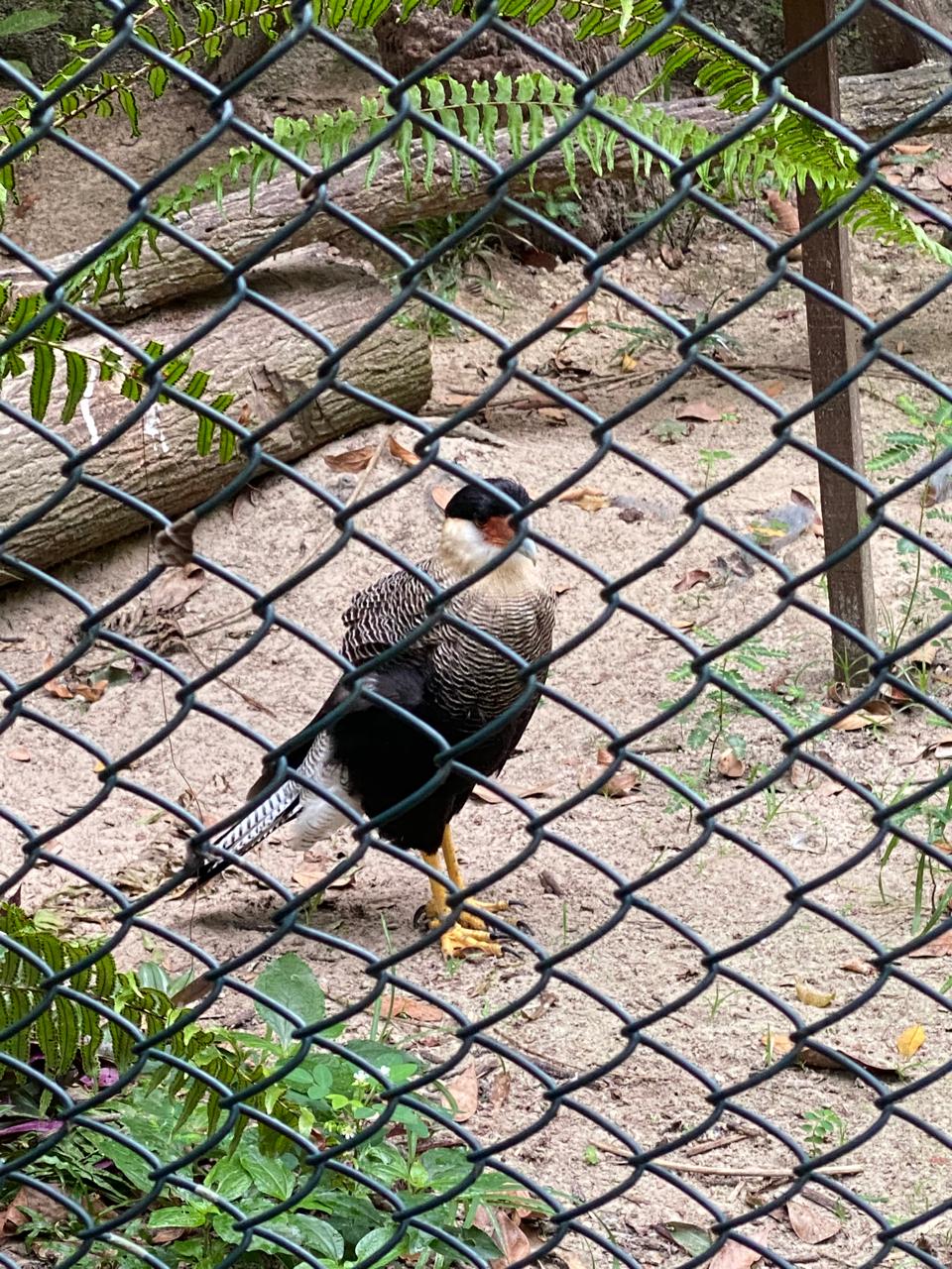 WhatsApp Image 2026 02 26 at 16.30.31